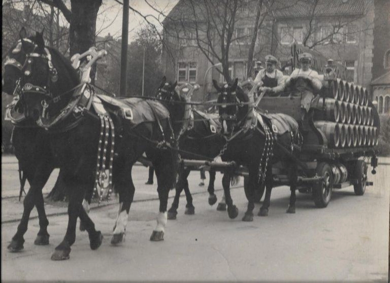 Lessigs Brauwerkstatt GmbH - Pferde
