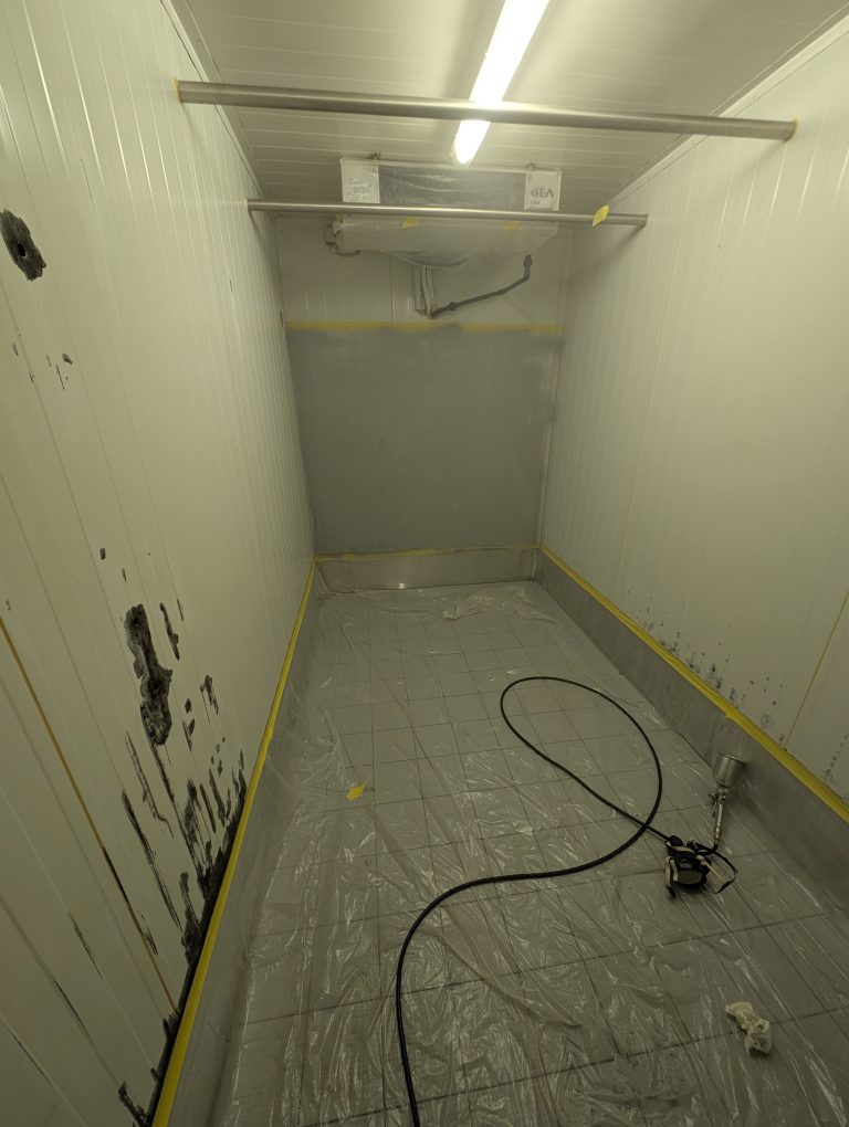 PXL_20251219_111202016.MP